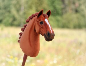 Ein Steckenpferd wie es für Hobby Horsing verwendet werden kann.