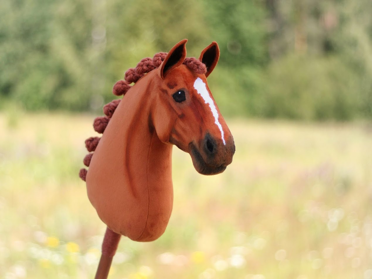 Ein Steckenpferd wie es für Hobby Horsing verwendet werden kann.