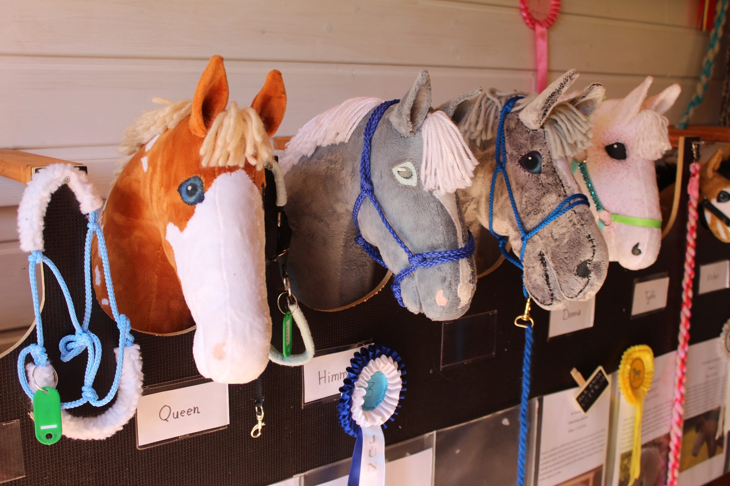 Steckenpferde. Selbstverständlich gehört auch die Prämierung der Gewinner zum Hobby Horsing.